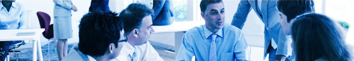 Informatica Consulting Services