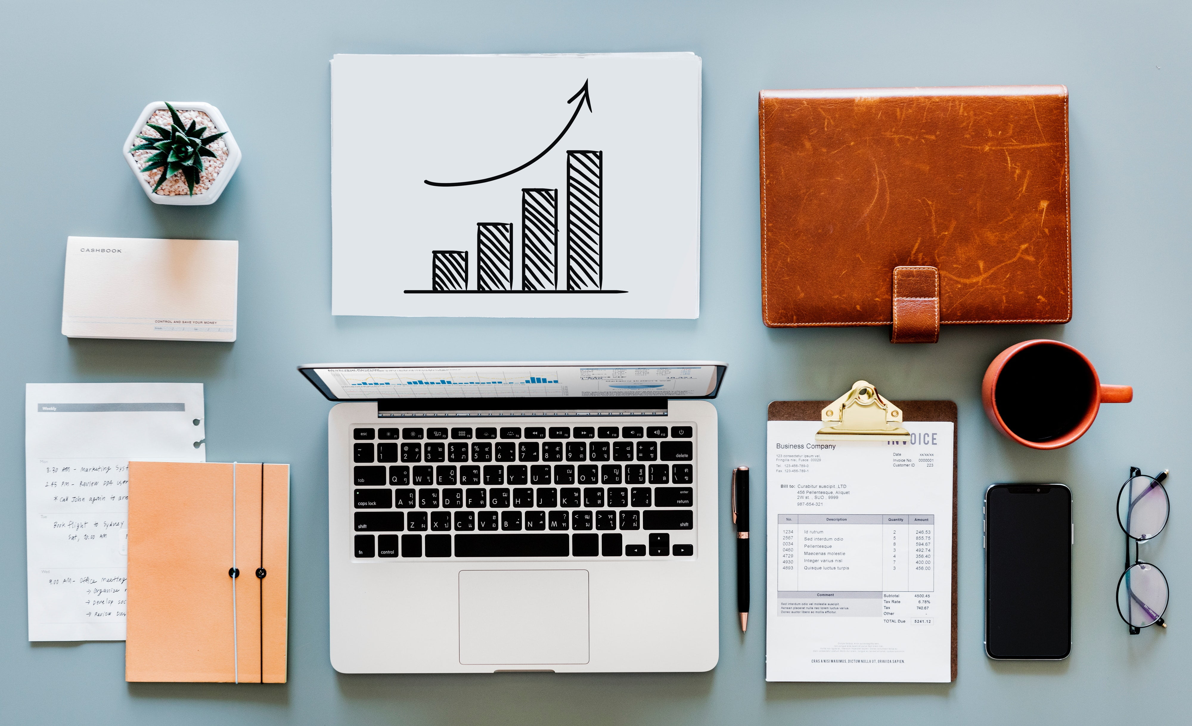 accounting application business