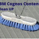 IBM cognos cleanup