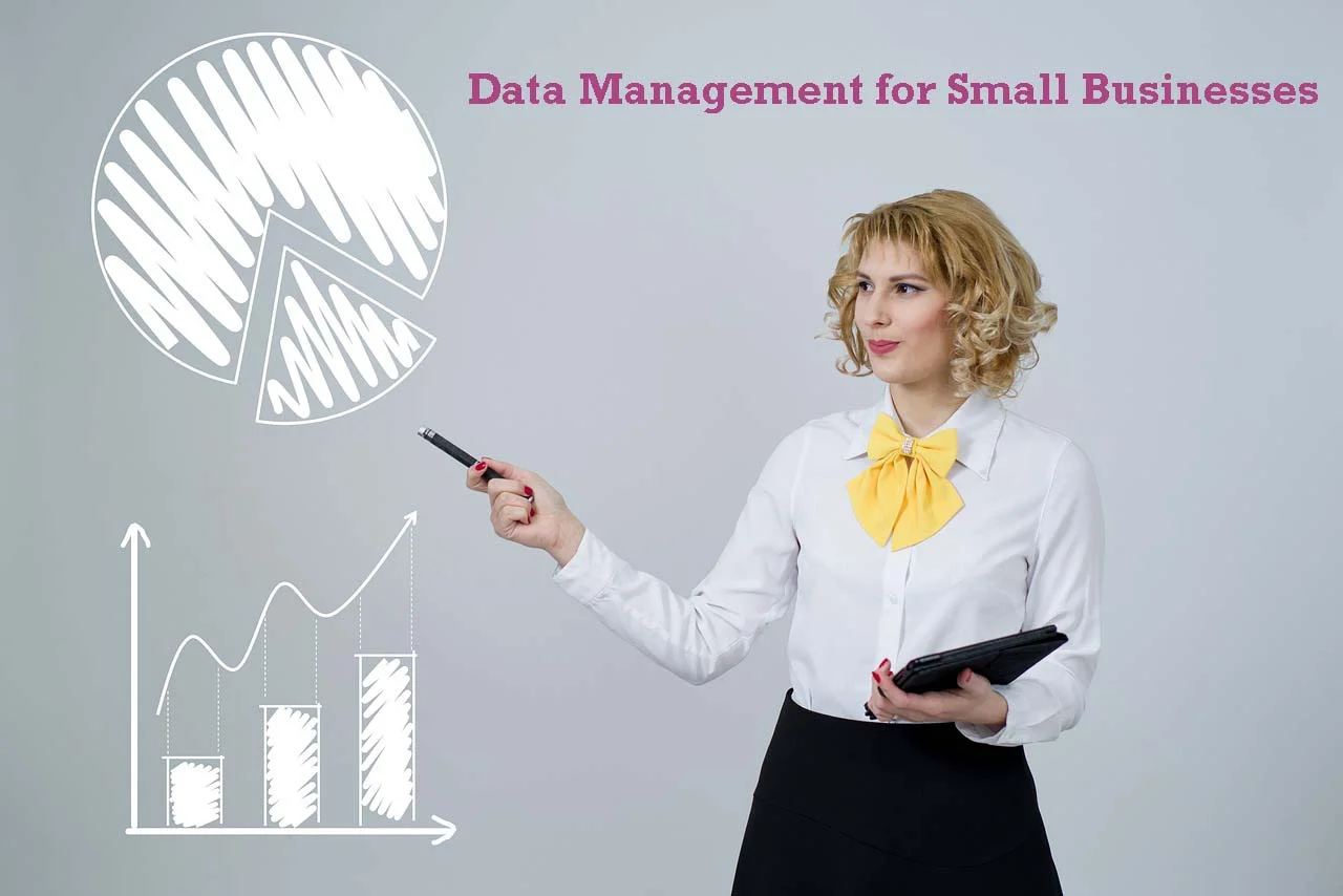 Data Management for Small Businesses